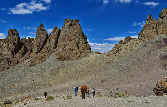 markha-valley-trek-from-chilling